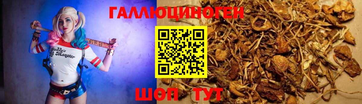Галлюциногенные грибы прущие грибы Кузнецк